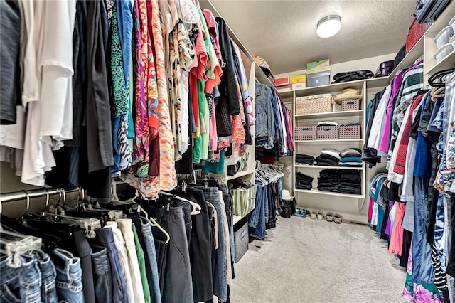 spacious closet featuring carpet flooring