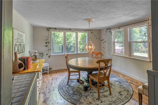 302 4th Ave, Gravette, AR 72736 - dining area with plenty of natural light, a textured ceiling, light wood-style floors, a chandelier, and baseboards