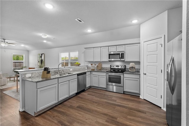 988 E Bunting St, Fayetteville, AR 72701 - kitchen featuring appliances with stainless steel finishes, a sink, light stone counters, a peninsula, and a wealth of natural light