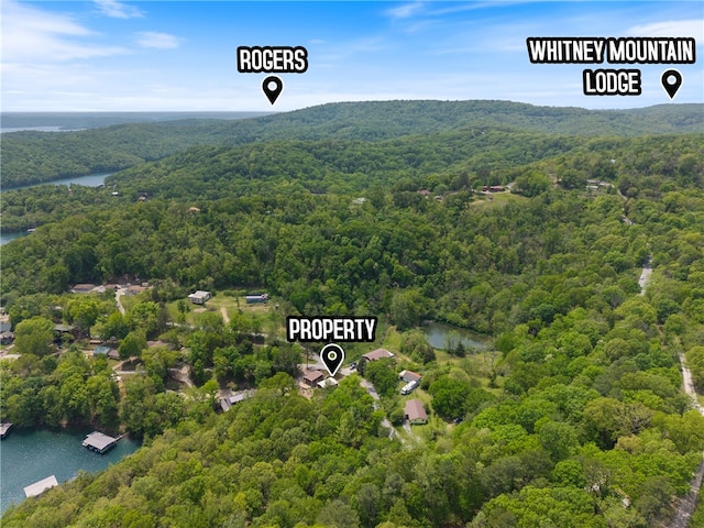 13552 Indian Bow Cir, Garfield, AR 72732 - photo 39