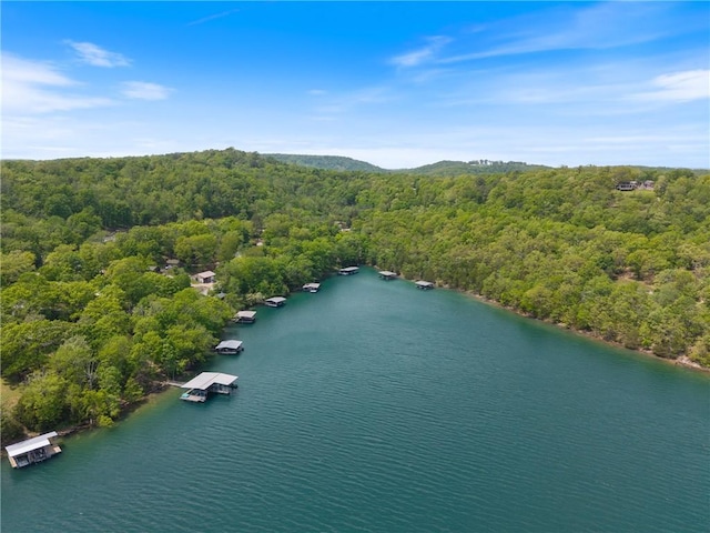 birds eye view of property with a water view and a view of trees