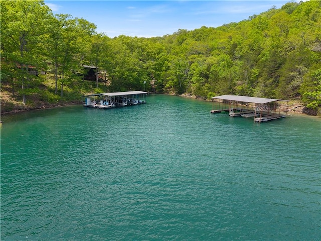 13552 Indian Bow Cir, Garfield, AR 72732 - photo 42