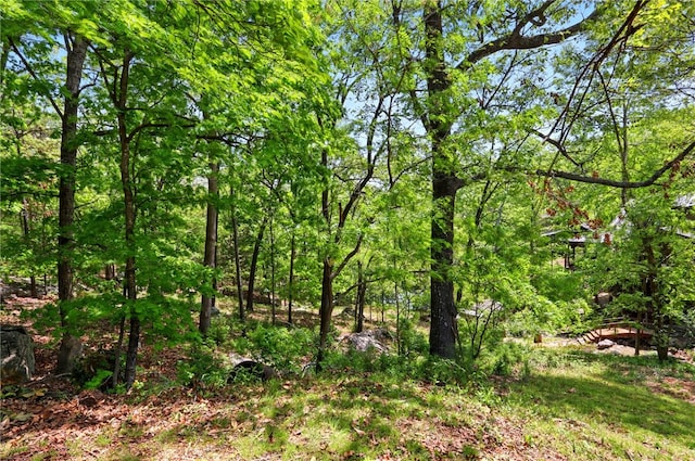 13552 Indian Bow Cir, Garfield, AR 72732 - photo 33