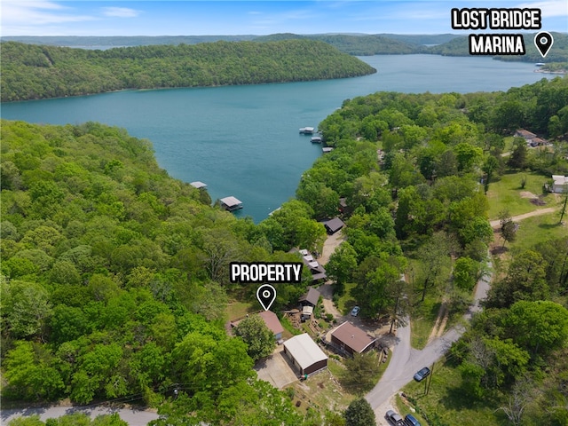aerial view with a water view and a wooded view