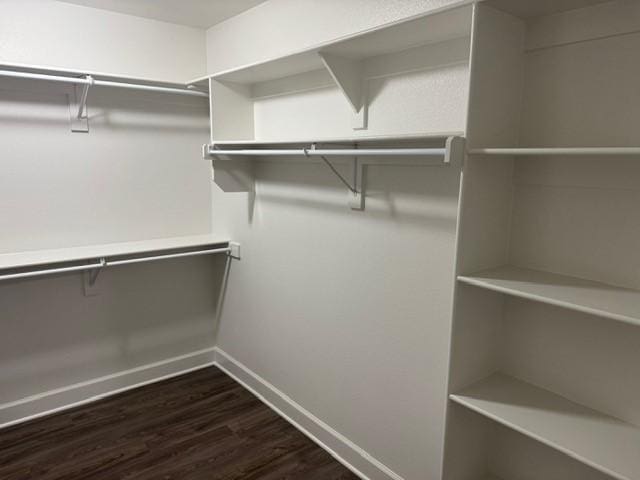 walk in closet featuring dark wood-style flooring