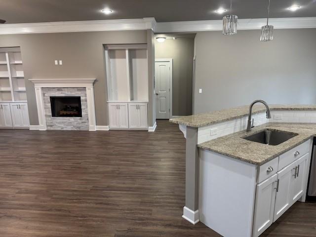 681 Baggett St, Prairie Grove, AR 72753 - kitchen featuring ornamental molding, open floor plan, white cabinets, a sink, and dark wood finished floors