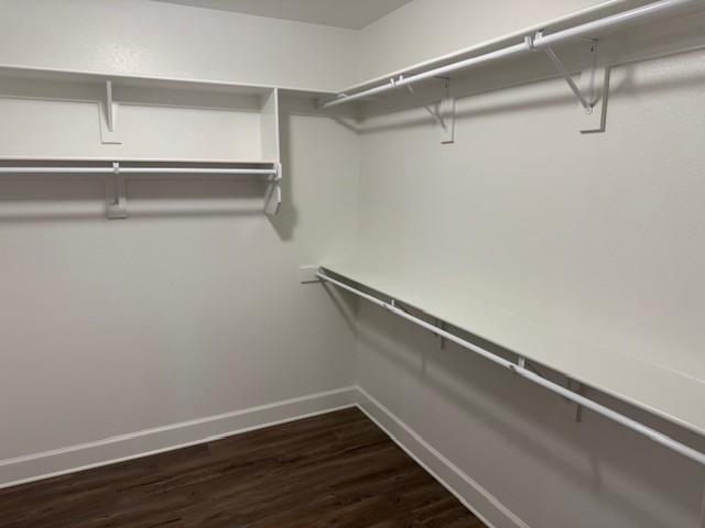 681 Baggett St, Prairie Grove, AR 72753 - walk in closet with dark wood-style floors