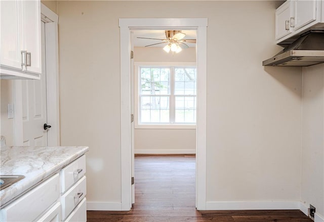 interior space with ceiling fan and dark wood finished floors
