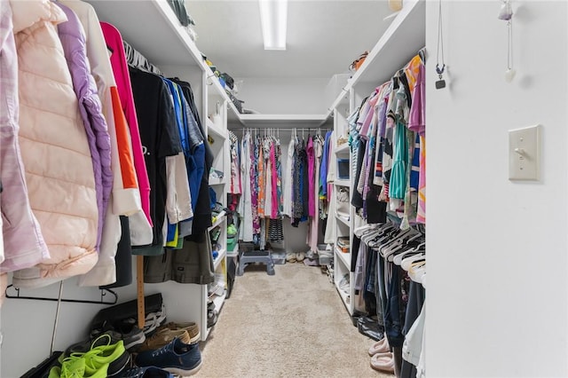 spacious closet featuring carpet flooring