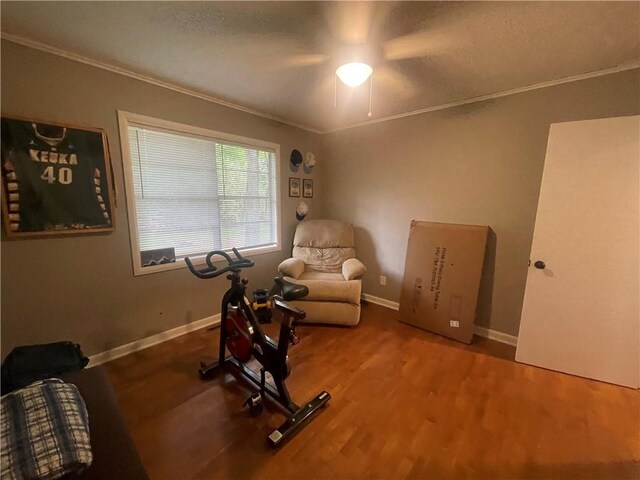 506 Oak St, Clarksville, AR 72830 - photo 18