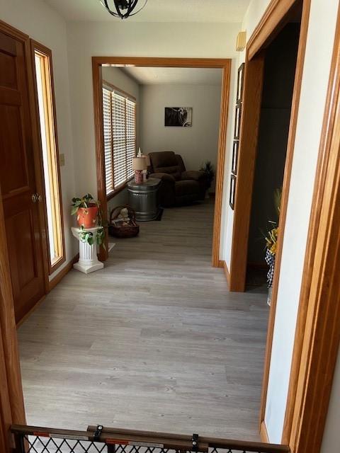 hallway featuring wood finished floors
