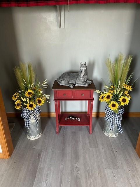 details with baseboards and wood finished floors
