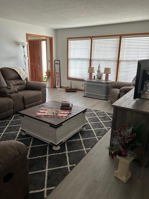 living room with a textured ceiling and wood finished floors