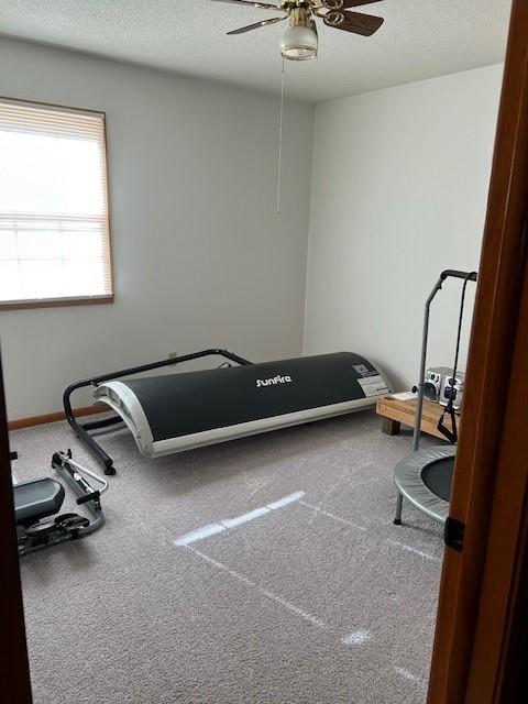 exercise area featuring carpet floors, ceiling fan, baseboards, and a textured ceiling