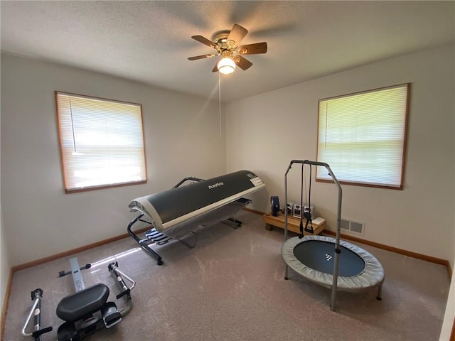 503 Skyline Dr, Harrison, AR 72601 - workout room featuring a ceiling fan, baseboards, and carpet