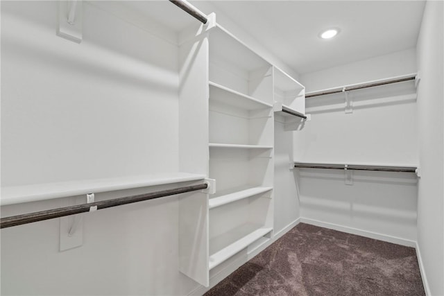walk in closet with carpet flooring