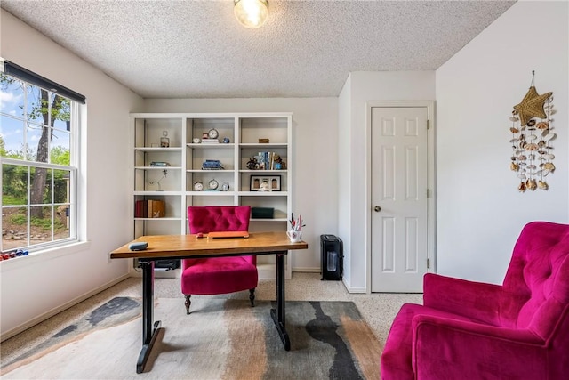 57 Dunsford Dr, Bella Vista, AR 72715 - home office with a textured ceiling, carpet, and baseboards