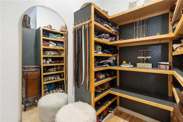 13248 N Old Wire Rd, Rogers, AR 72756 - spacious closet with wood finished floors