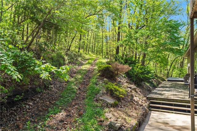 13248 N Old Wire Rd, Rogers, AR 72756 - view of undeveloped land