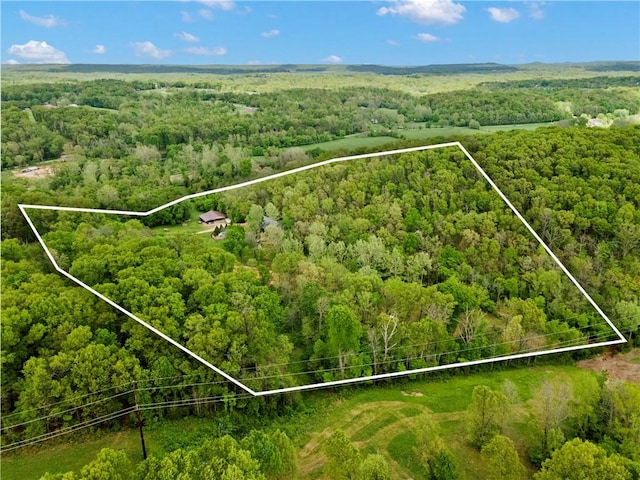 13248 N Old Wire Rd, Rogers, AR 72756 - aerial view of property's location featuring a heavily wooded area and property boundaries highlighted
