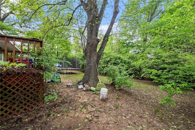 1231 N Oak Ave, Fayetteville, AR 72703 - photo 18