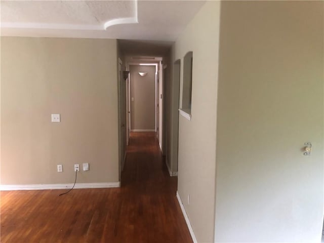 1231 N Oak Ave, Fayetteville, AR 72703 - photo 11