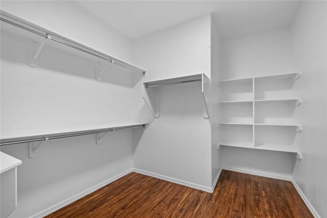 spacious closet featuring wood finished floors