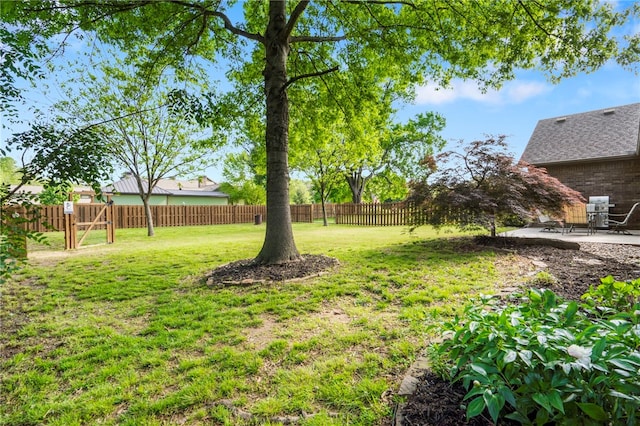 view of yard featuring a fenced backyard and a patio