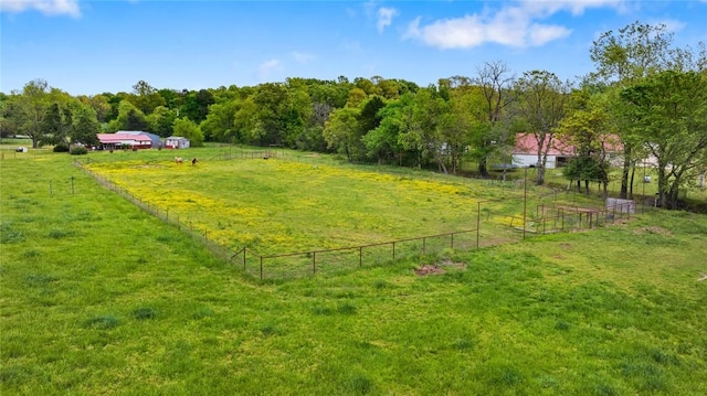 view of yard with fence and a rural view