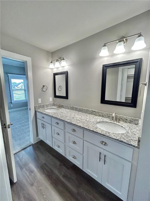 bathroom with a sink, double vanity, and wood finished floors