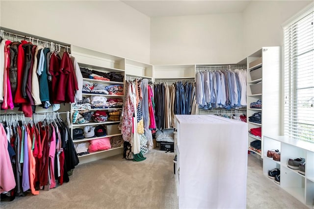 spacious closet featuring carpet