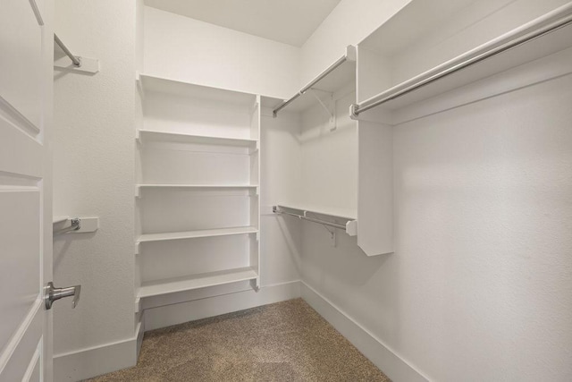 walk in closet with carpet floors