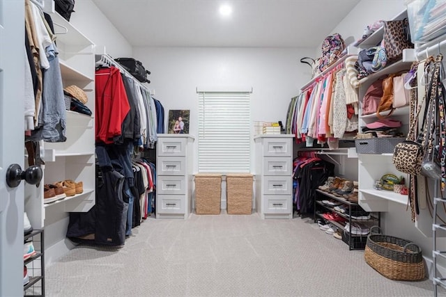 spacious closet featuring light carpet