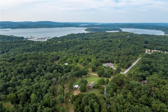 drone / aerial view with a water view and a view of trees