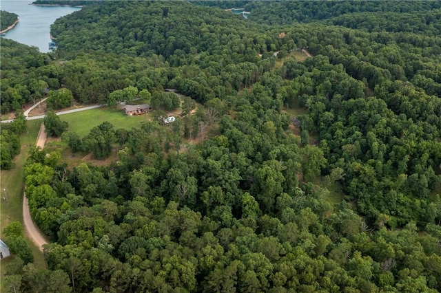 bird's eye view featuring a water view and a view of trees