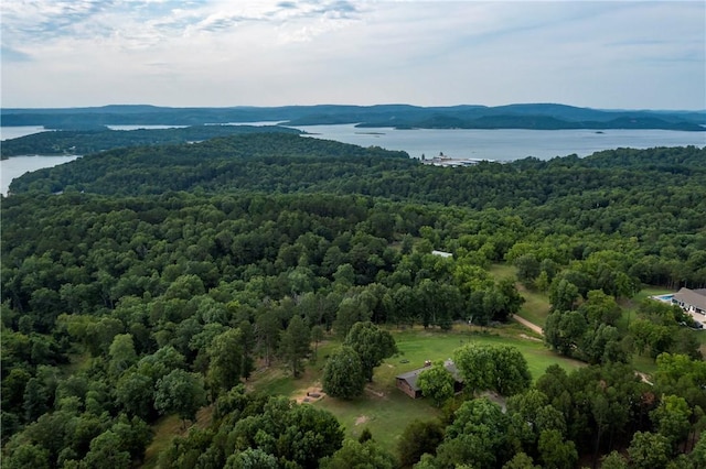 birds eye view of property with a water and mountain view and a wooded view