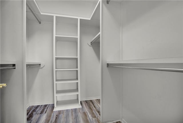 walk in closet featuring wood finished floors