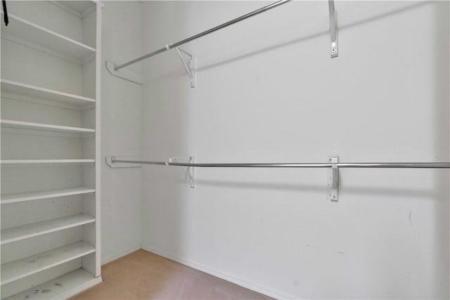 view of spacious closet