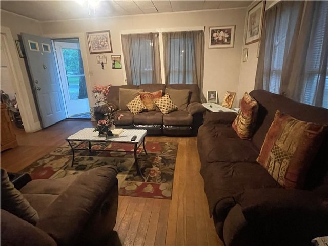 607 Carter St, Clarksville, AR 72830 - living area with wood-type flooring