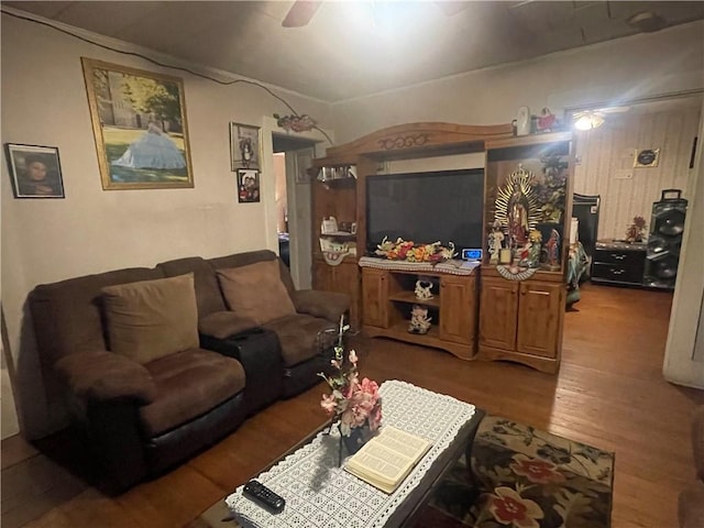 607 Carter St, Clarksville, AR 72830 - living area featuring ceiling fan and wood finished floors