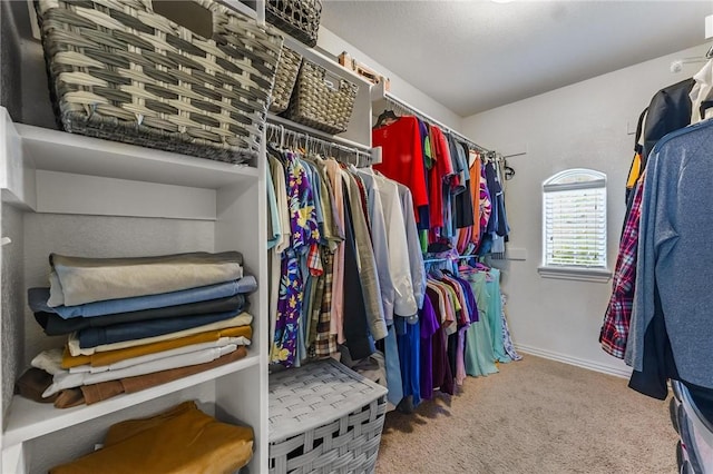 spacious closet featuring carpet