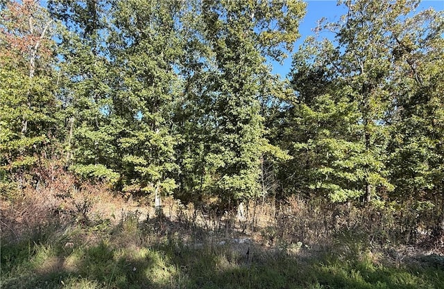 LOT10, BLOCK5 Tummell Dr, Bella Vista, AR 72715