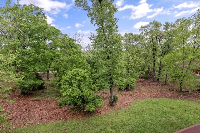 view of nature