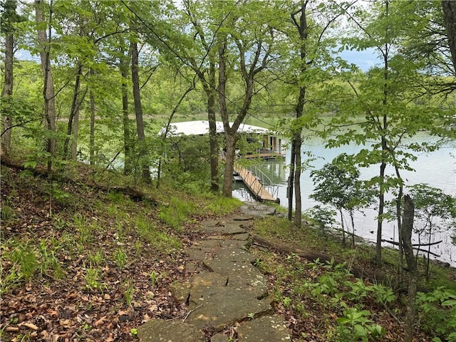 property view of water