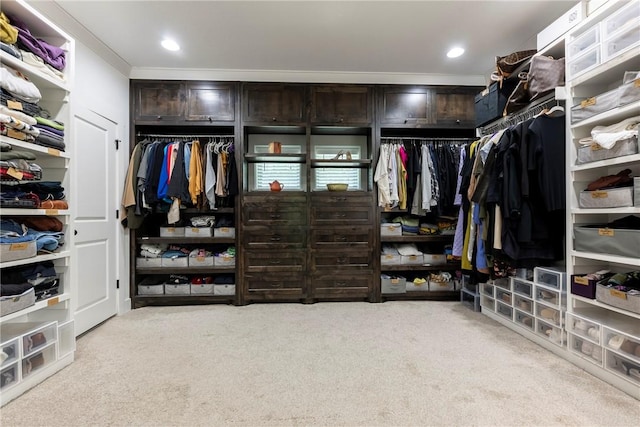 spacious closet with light carpet