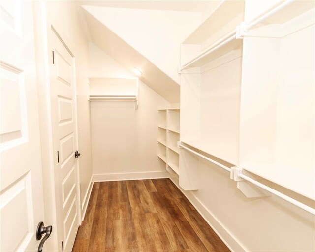 spacious closet featuring dark wood-style floors