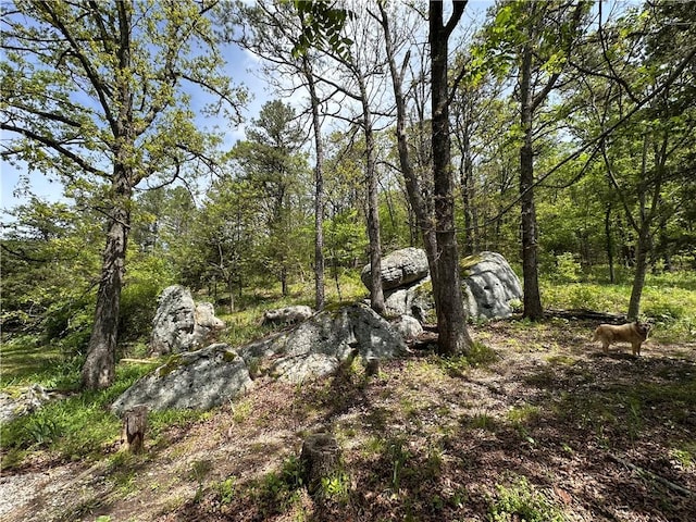 view of local wilderness with a view of trees
