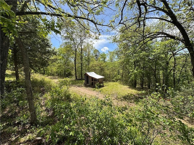 view of yard with an outdoor structure, a view of trees, and a storage shed