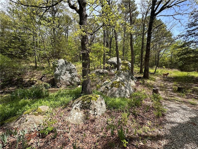 view of landscape