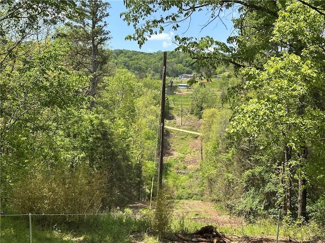 view of local wilderness with a view of trees